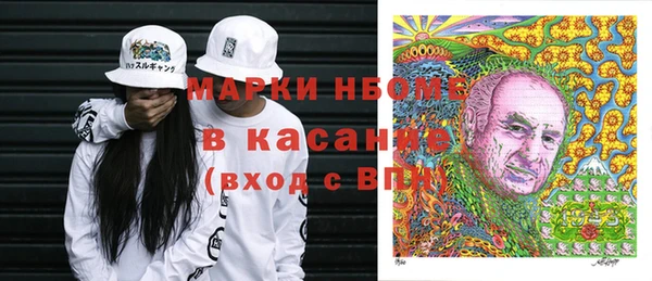 прущие грибы Алзамай