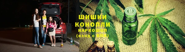 прущие грибы Алзамай