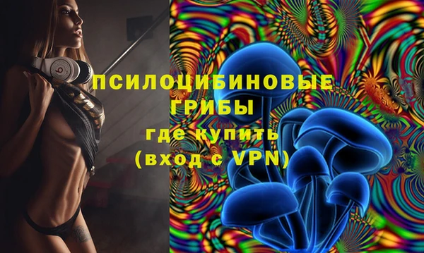 прущие грибы Алзамай