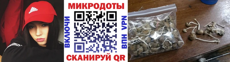 Галлюциногенные грибы Magic Shrooms  Камешково 